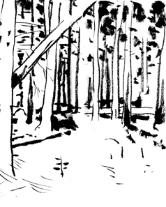 Ça faisait longtemps