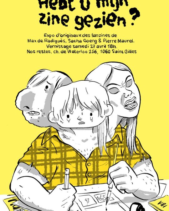 Hebt u mijn zine gezien