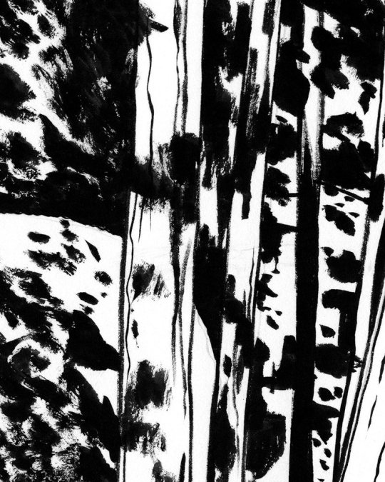 On ne voit pas ce que c’est