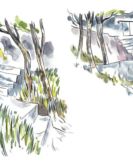 Dans le jardin&nbsp;?