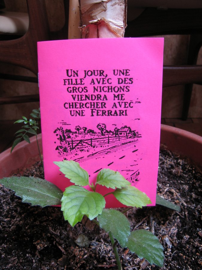 Ces temps-ci image 1