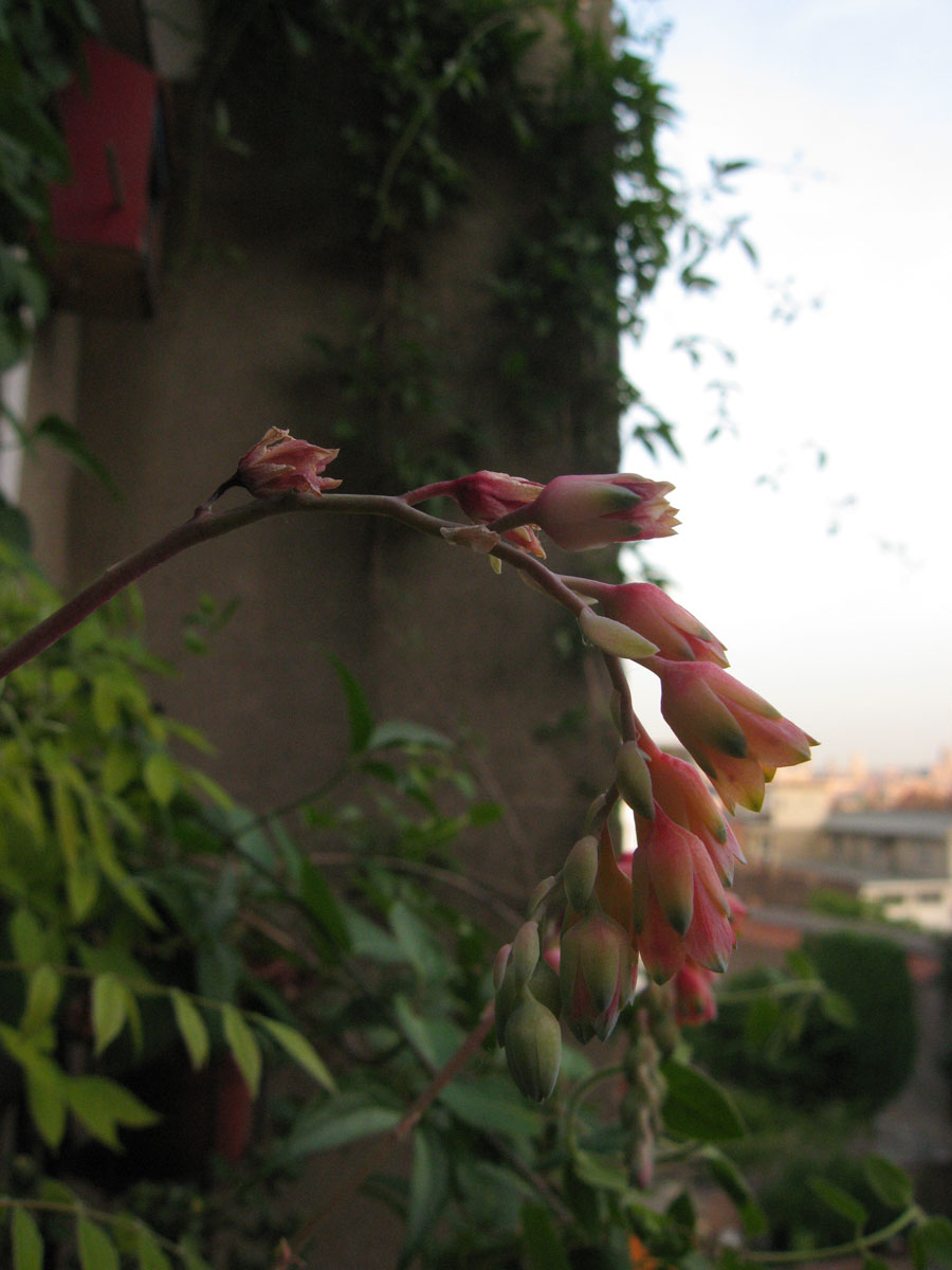 bonnes vacances image 7