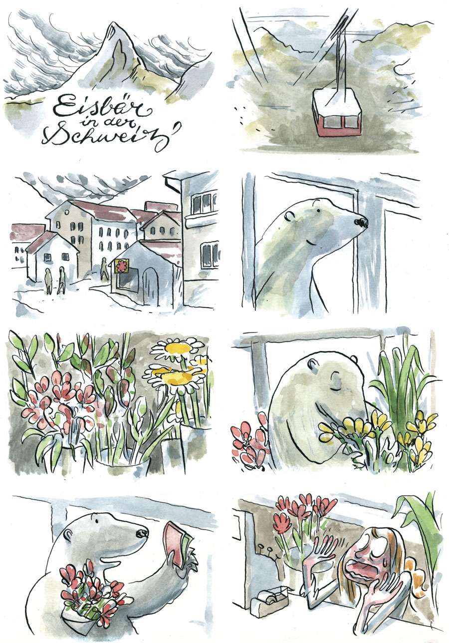 Eisbär in der Schweiz image 1