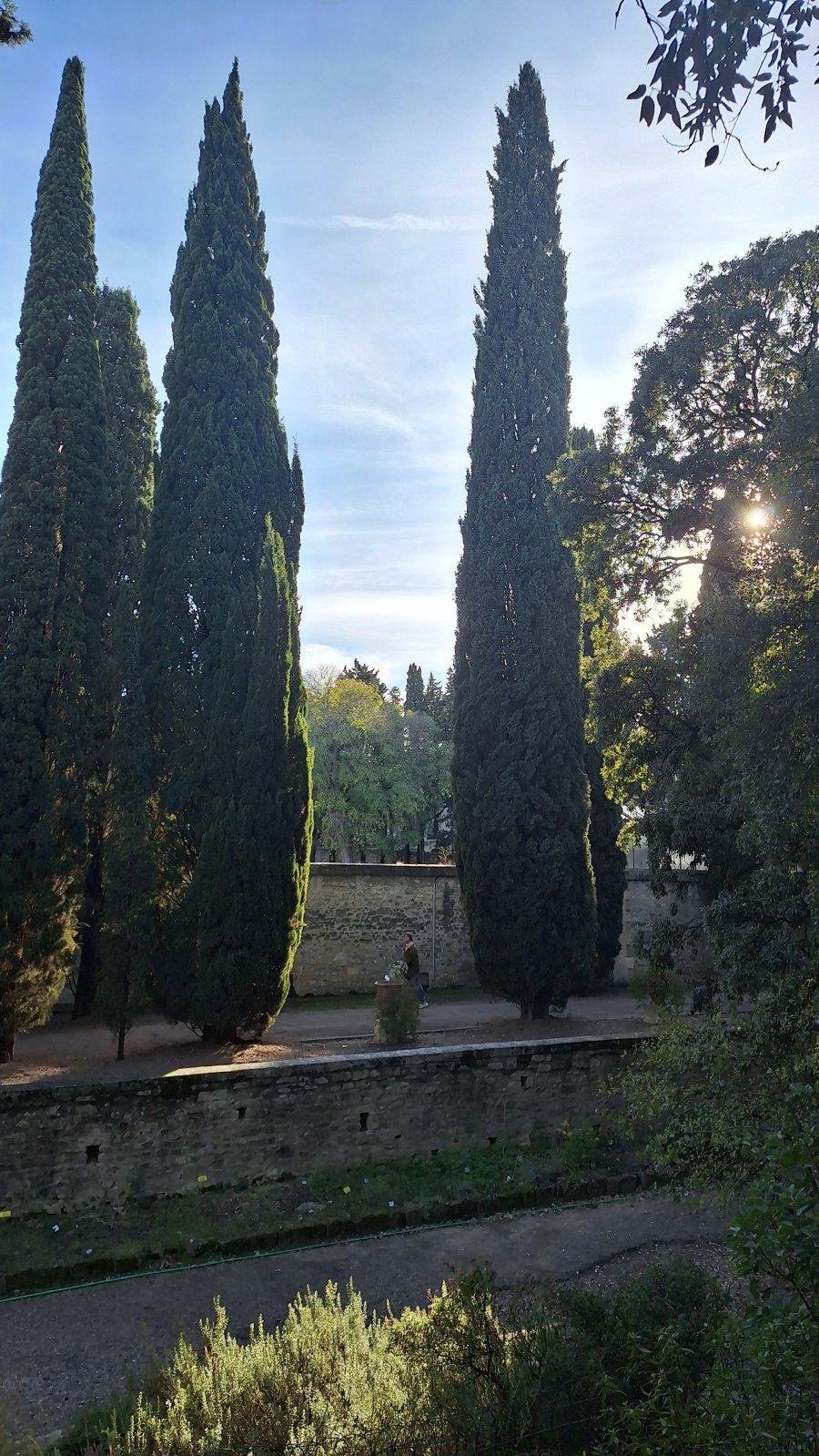 Rhony’s Festival&nbsp;! image 6