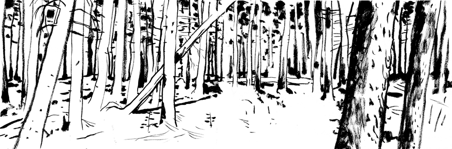 Ça faisait longtemps image 1