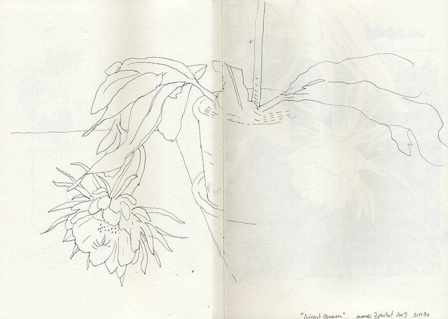 Night Queen image 1
