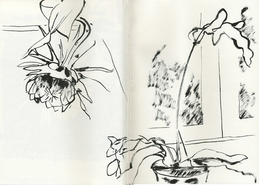 Night Queen image 3
