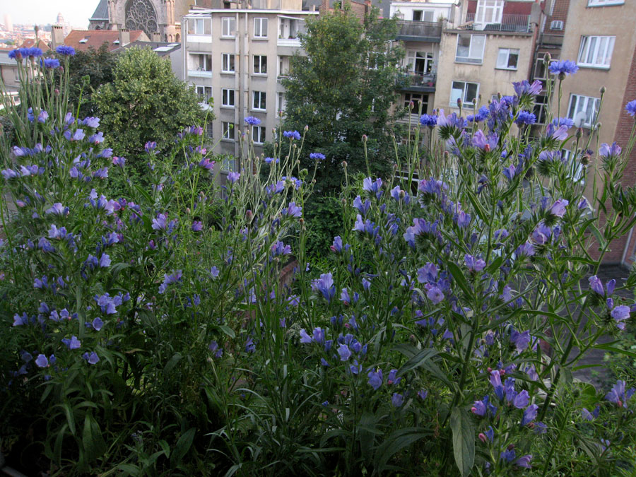 bonnes vacances image 2